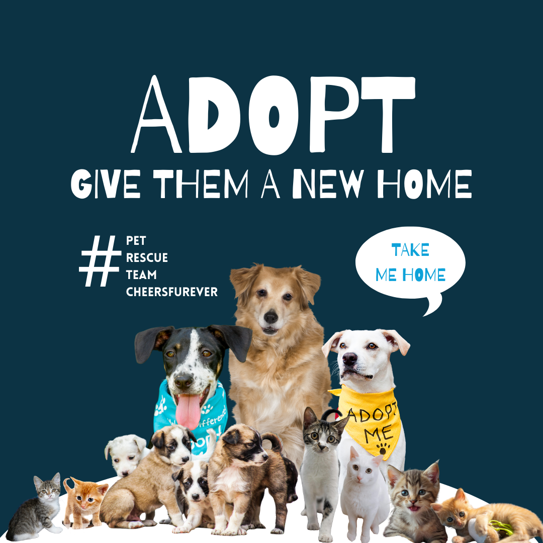 Adopt dont Shop